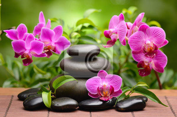 Фотообои - Камни и орхидеи артикул 10008306