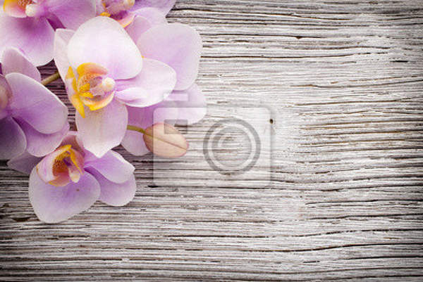 Фотообои - Деревянная доска и орхидея артикул 10008292