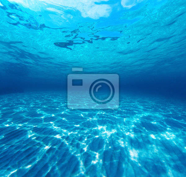 Фотообои - Под водой артикул 10008273