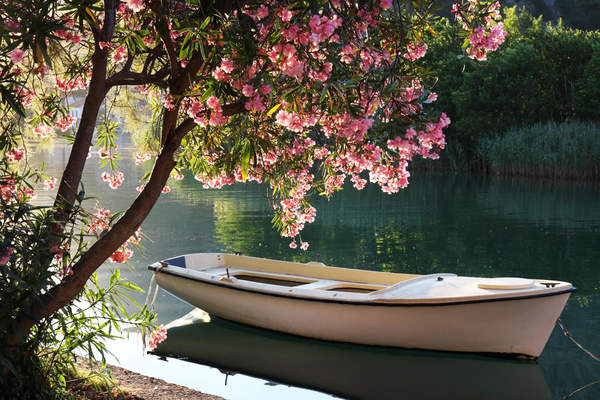 Фотообои с лодкой и цветущим деревом артикул 10000250