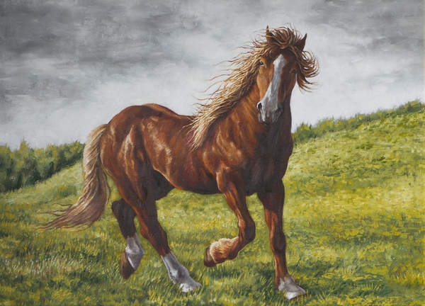Арт-обои — Рисованная лошадь артикул 10004758