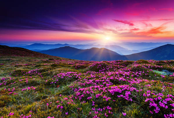 Фотообои "Розовое небо в горах" (пейзаж) артикул 10002466