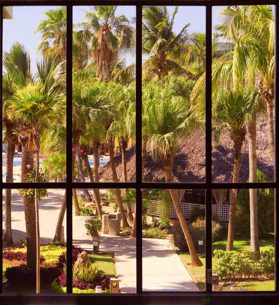 Фотообои с видом на тропический сад через окно артикул 10001097
