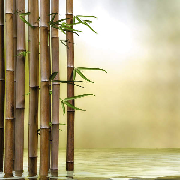 Обои для стен с бамбуком в воде артикул 10003923