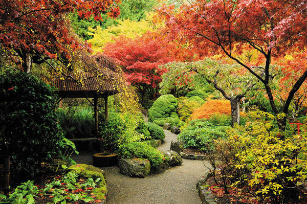 Фотообои с японским садом артикул 10006870