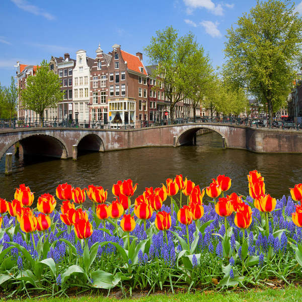 Фотообои — Амстердамский городской пейзаж артикул 10003760