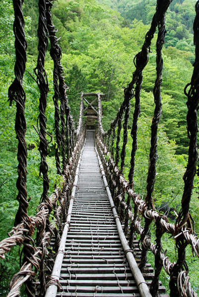 Фотообои - Мост в лесу артикул 10005479