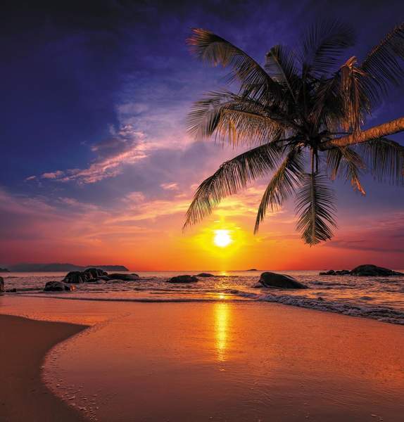 Тропический закат на пляже артикул 10006793
