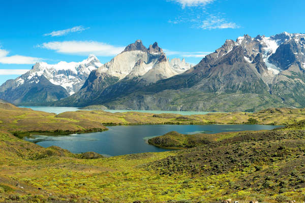 Национальный парк Торрес-дель-Пайне, Патагония, Чили, Южная Америка артикул 10008957