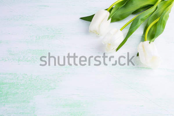  артикул 10009183