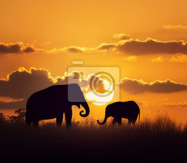 Фотообои со слонами на закате - Африканский пейзаж артикул 10009774