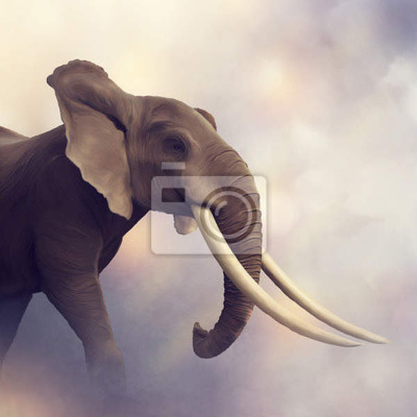 Фотообои со слоном крупным планом артикул 10009775