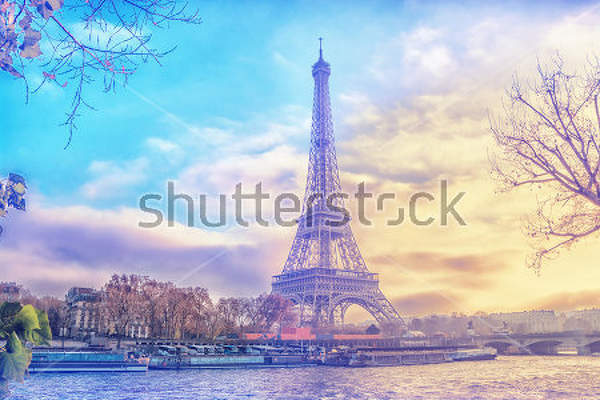  артикул 10011571