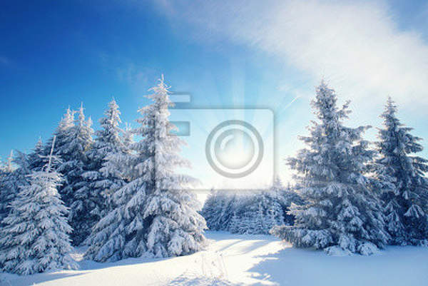  артикул 10011953