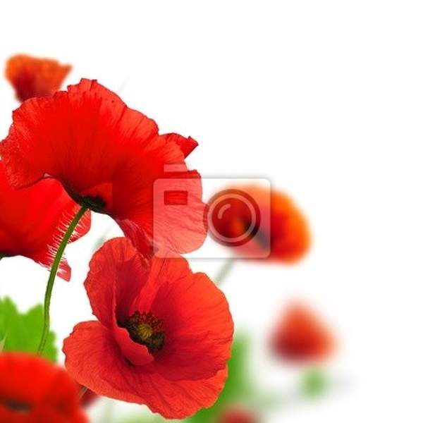  артикул 10011969