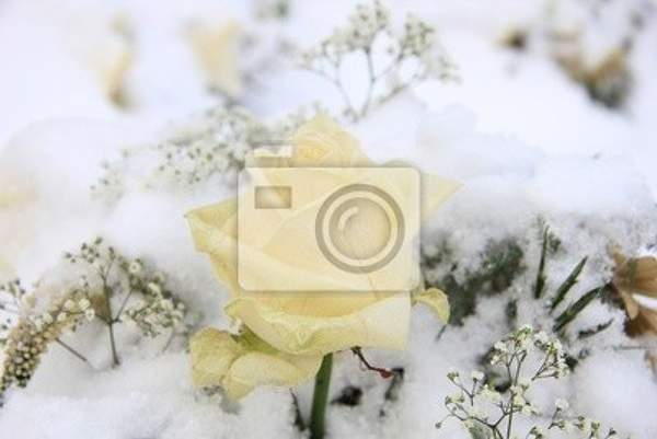  артикул 10012021