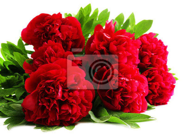  артикул 10012346