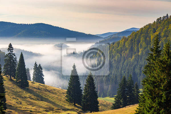  артикул 10012379