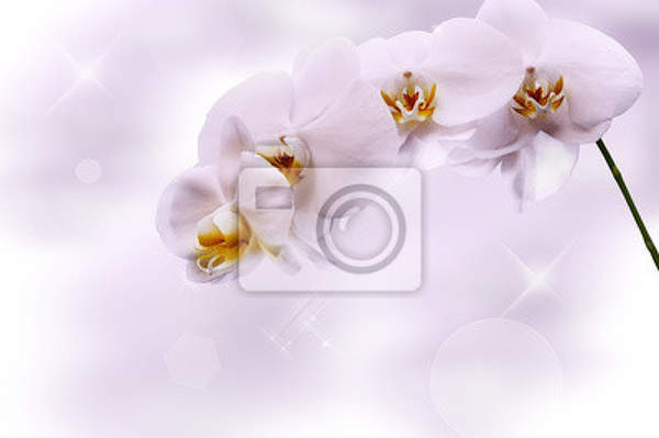  артикул 10012535
