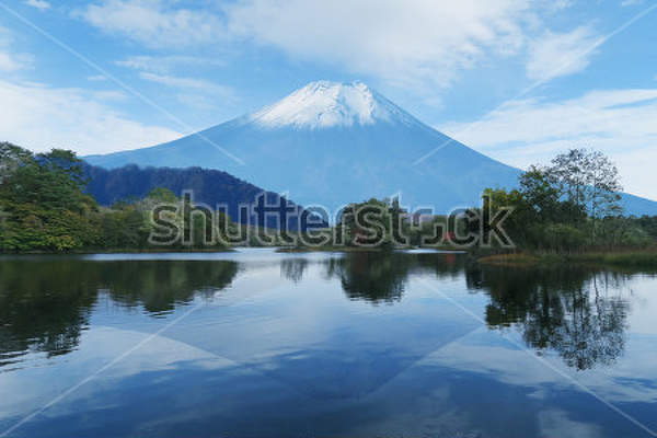  артикул 10012604