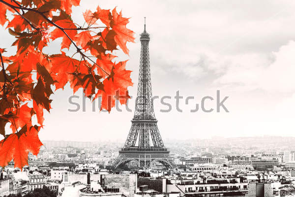  артикул 10013001