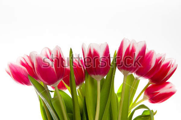  артикул 10013272