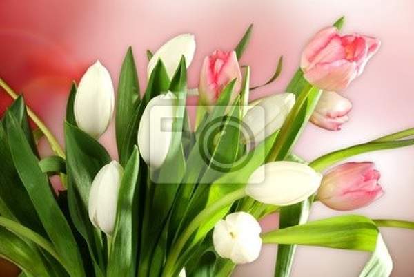  артикул 10013260
