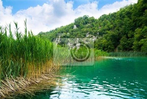  артикул 10013358