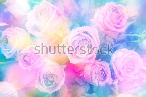  артикул 10013584