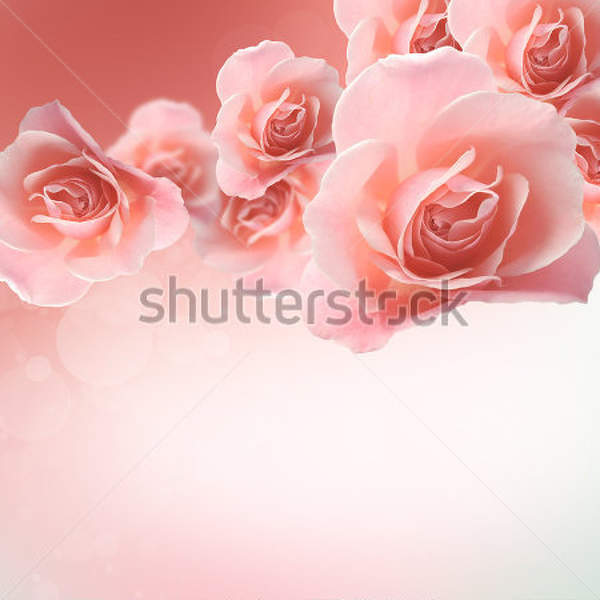  артикул 10013578