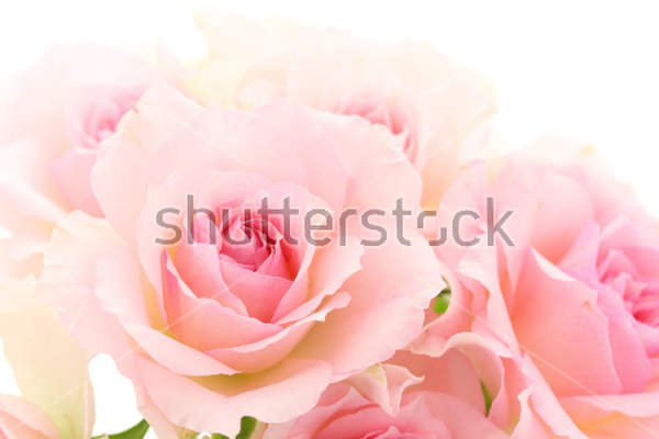  артикул 10013587