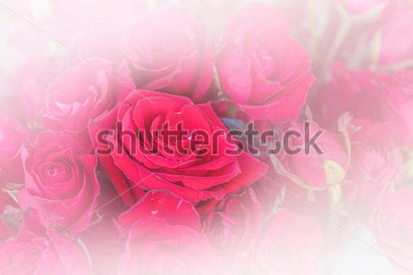  артикул 10013573