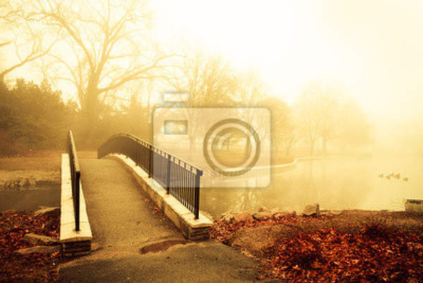  артикул 10013440
