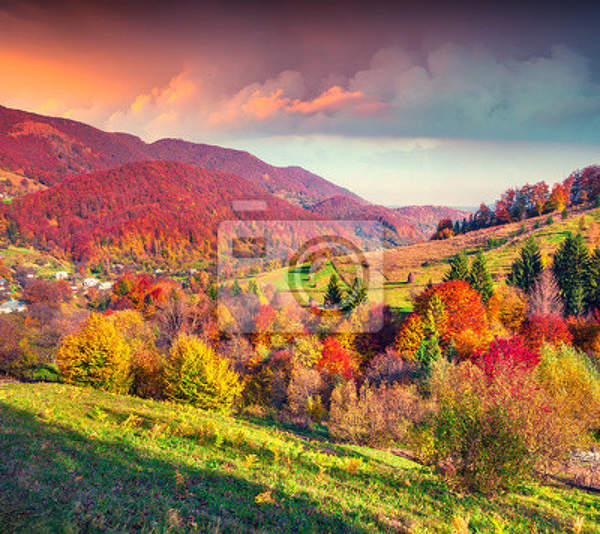 артикул 10013546