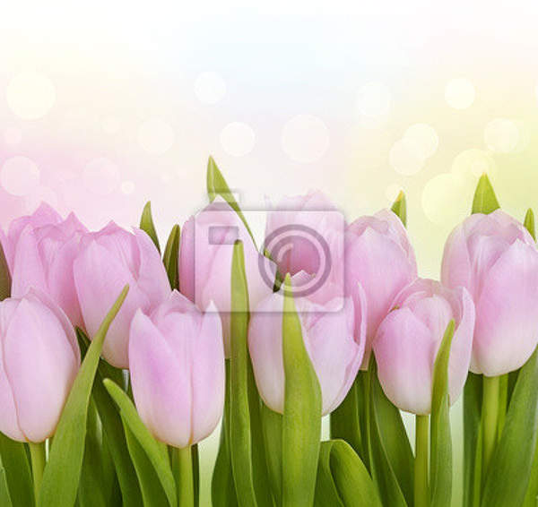  артикул 10013693