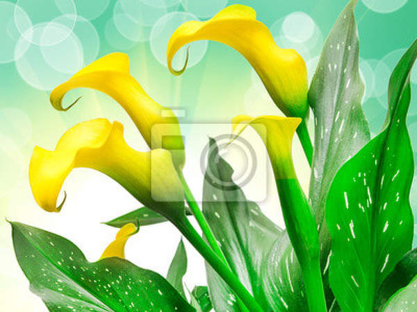  артикул 10013944