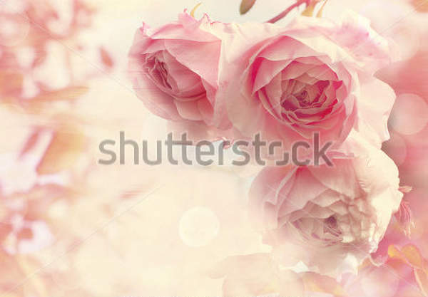  артикул 10013634