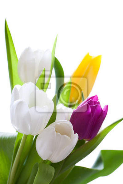  артикул 10014057