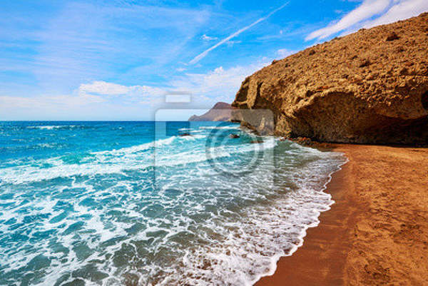 Морской пейзаж артикул 10014089