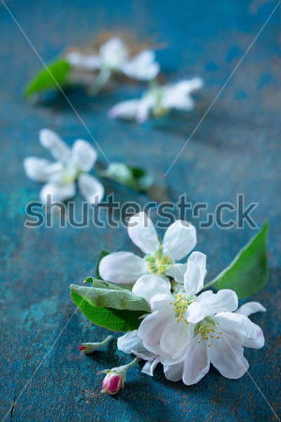  артикул 10014413