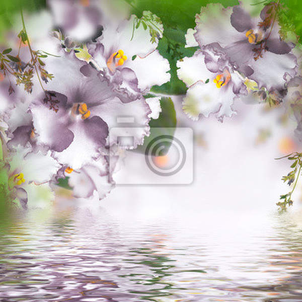  артикул 10014574