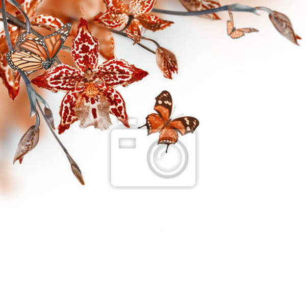  артикул 10014546