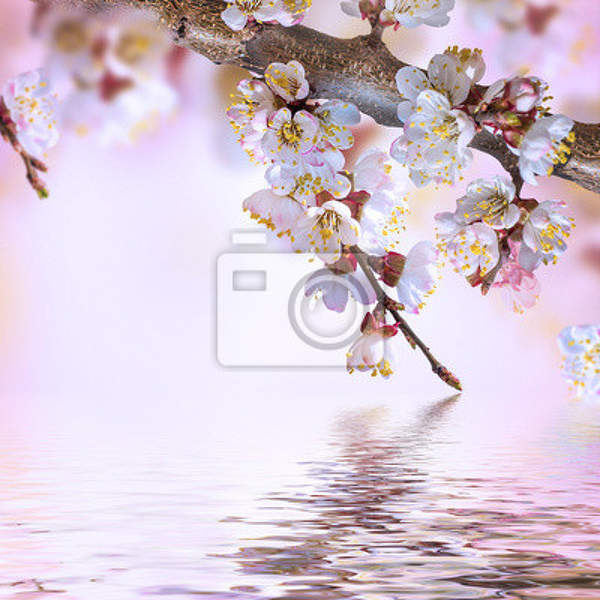  артикул 10014540