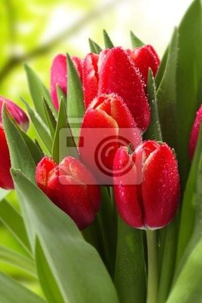  артикул 10014555