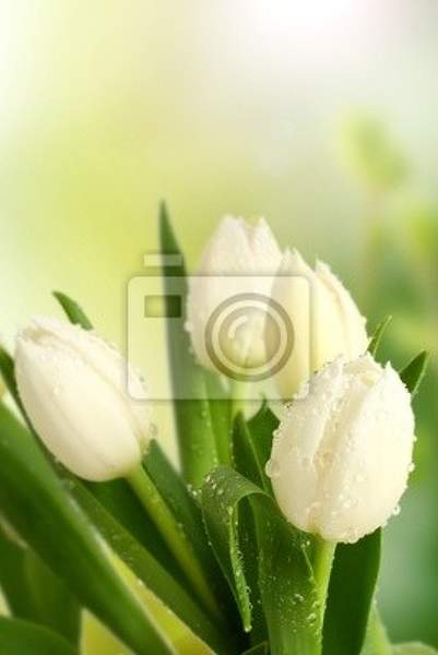  артикул 10014548