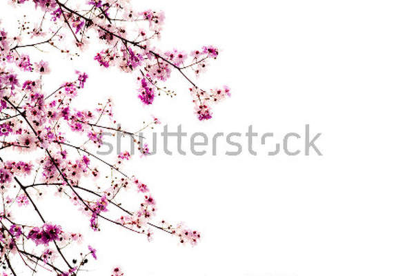  артикул 10014679