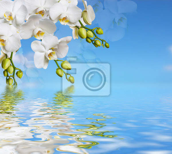  артикул 10014702