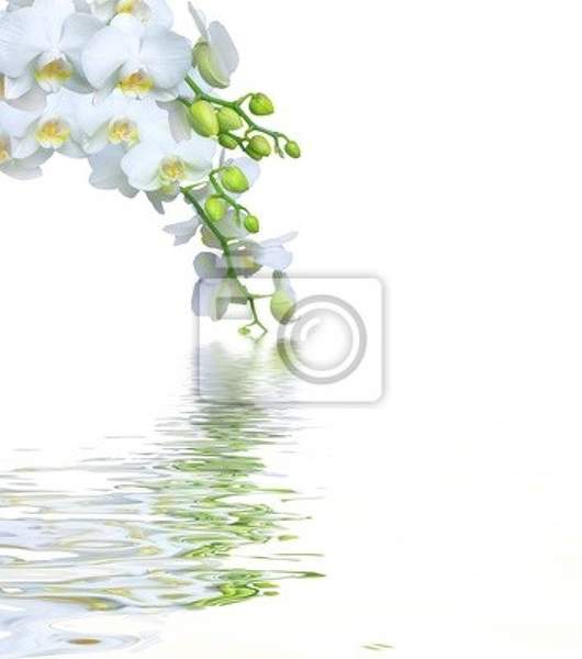  артикул 10014708