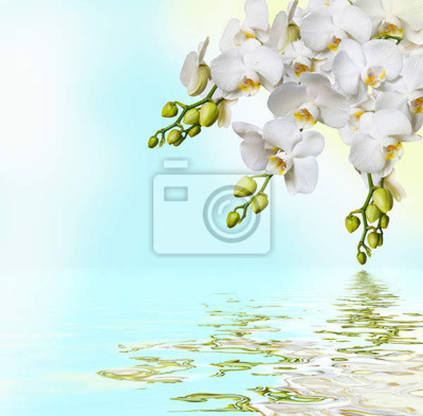  артикул 10014714