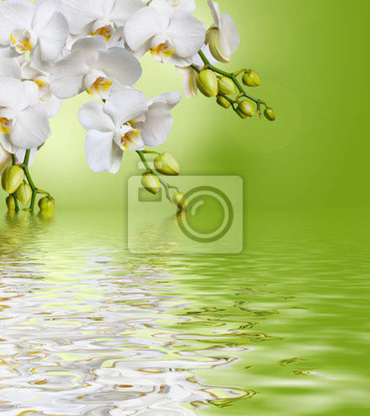  артикул 10014707